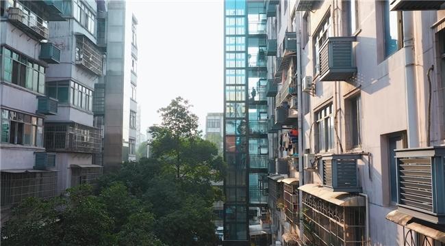 2024電梯行業(yè)新篇章：民族品牌加速趕超，LINVOL領(lǐng)沃引領(lǐng)新風(fēng)尚